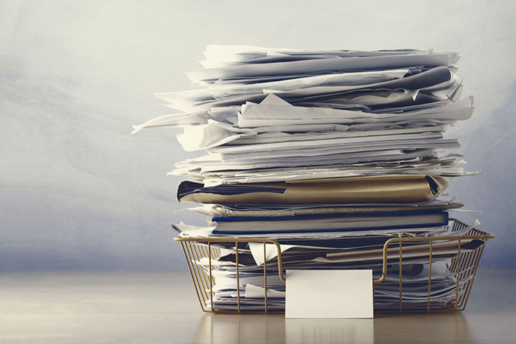 Must Have Info / Important Documents
