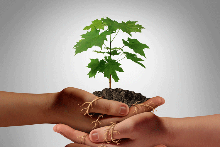 Prevention-(service-page)